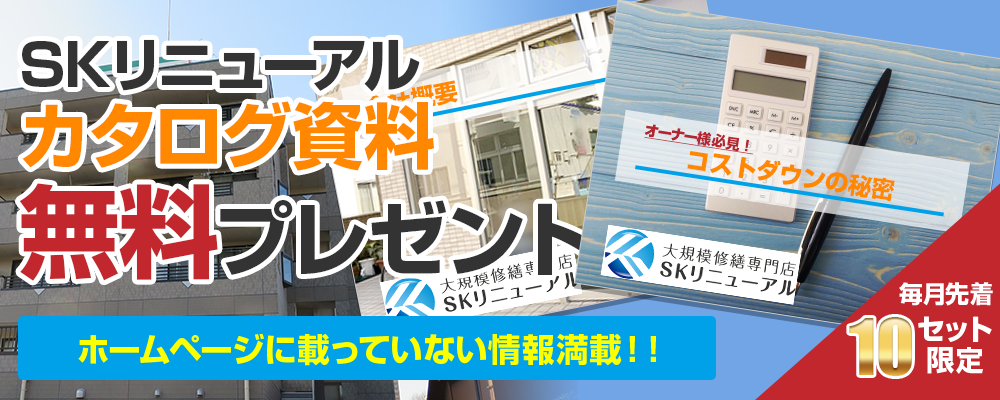 SKリニューアルオリジナル カタログ資料 無料プレゼント‼ホームページに載っていない情報満載!!毎月先着10セット限定